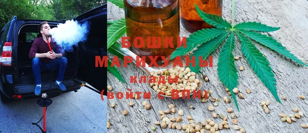 прущая мука Нея