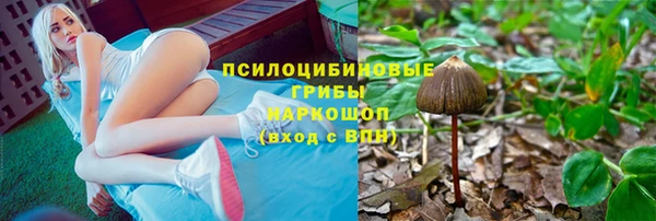 дурь Нефтегорск